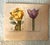 Authentic Charming Set of Seven 19th Century Hand Colored Botanical Flower Prints on Paper For Sale - Image 9 of 9