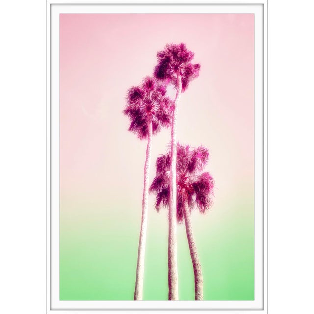 poolside popsicles bathed in shades of pink and green, this piece transforms a grove of palms into a luminous, dreamlike...