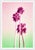 poolside popsicles bathed in shades of pink and green, this piece transforms a grove of palms into a luminous, dreamlike...