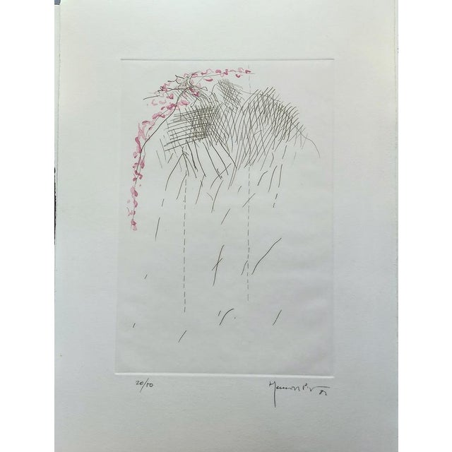 Joan Hernandez Pijuan, PL1, 1982, Engraving For Sale - Image 5 of 5