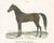 Schinz, Illustration of a Persian Stallion, 1827, Print For Sale - Image 6 of 6