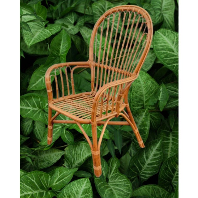 Vintage Franco Albini’s Style Rattan Lounge Chairs - Set of 4 For Sale In Miami - Image 6 of 9