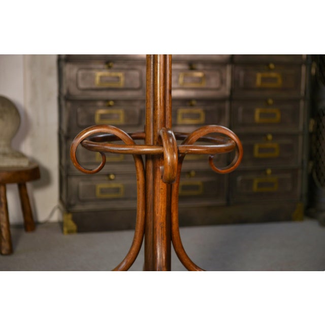 Mid-Century Modern Parrot Coat Rack in Bent Beech from Baumann, 1930s For Sale - Image 3 of 11