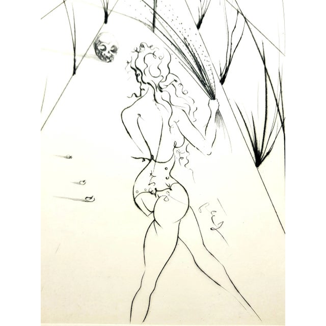 Salvador Dali - Venus in Furs - Original Stamp-Signed Etching 1968 For Sale - Image 6 of 8