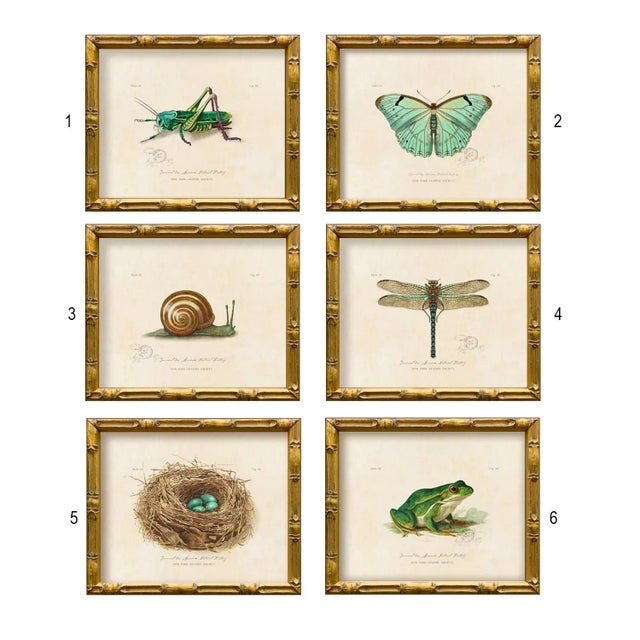 2020s Contemporary Reproduction of Vintage "Garden Friends" Art Print (5), Framed Bird Nest For Sale - Image 5 of 5