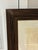 Oversized Natural Curiosities Harvey Seaweeds 11 Botanical Print – Framed For Sale - Image 4 of 7