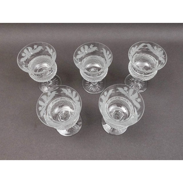 Mid 20th Century Mid 20th Century Edinburgh Crystal Scotland Thistle Champagne Sherbet Glasses- Set of 5 For Sale - Image 5 of 10