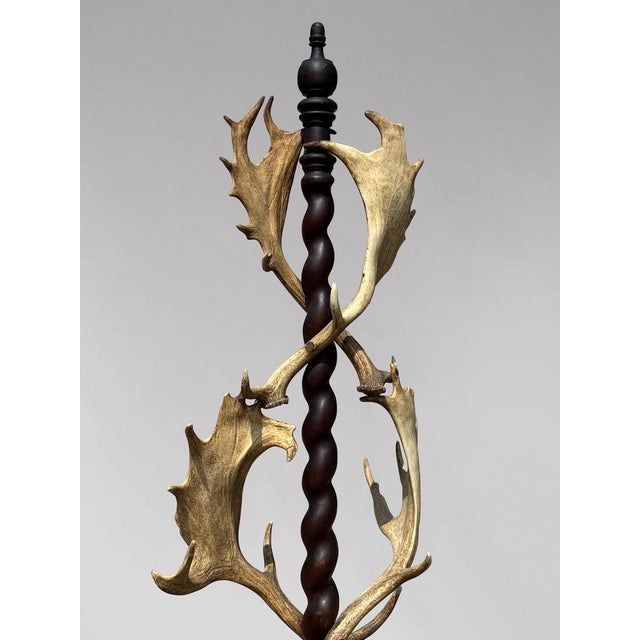 Antique Antler Coat Stand by J. Parker of Woodstock, 1850 For Sale - Image 11 of 12