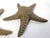 Contemporary Vintage Brass Starfish Sculpture Set Natural Specimen Art, Korea 1960's For Sale - Image 3 of 7