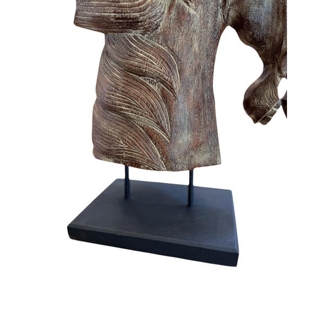Brown 19th Century Extraordinary Decorative Wooden Horse Head. For Sale - Image 8 of 9