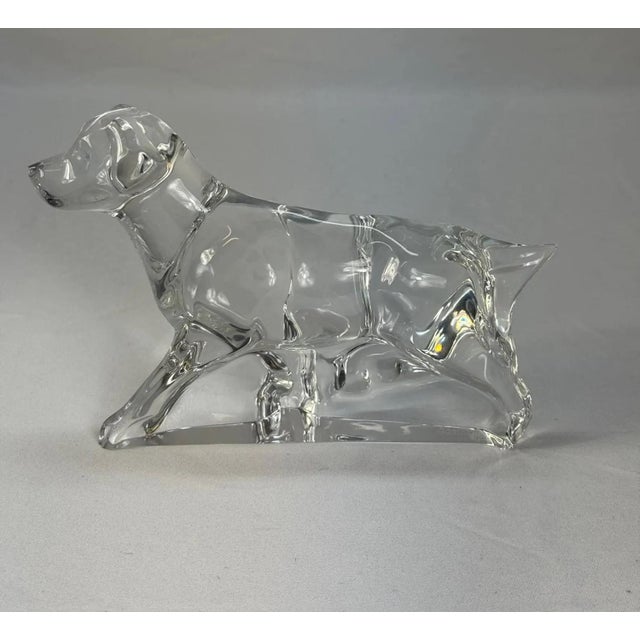 Glass Baccarat Crystal German Pointer Dog Figurine Paperweight For Sale - Image 7 of 13