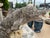 Pair of Weathered French Cement Dolphin Fountain Spouts, Circa 1970s For Sale - Image 14 of 16