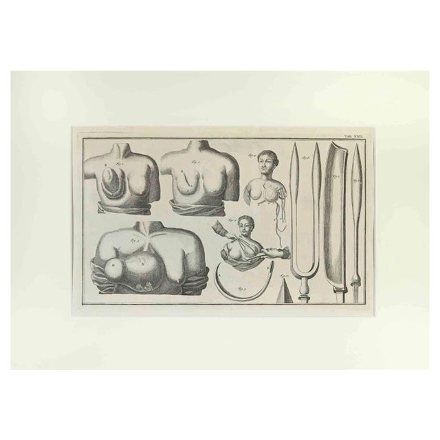 Lorenz Heister, Surgical Instruments, Etching, 1750 For Sale