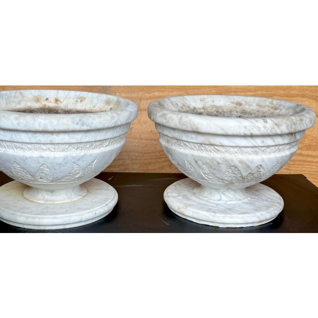 White Pair of Italian Carved Marble Neoclassical Urns with Lotus Motif For Sale - Image 8 of 12