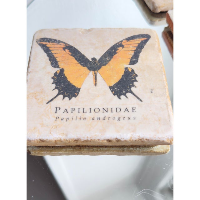 1990s Vintage Late 20th Century Italian Marble Coasters With Butterfly and Botanical Illustrations - Set of 5 For Sale - Image 5 of 9