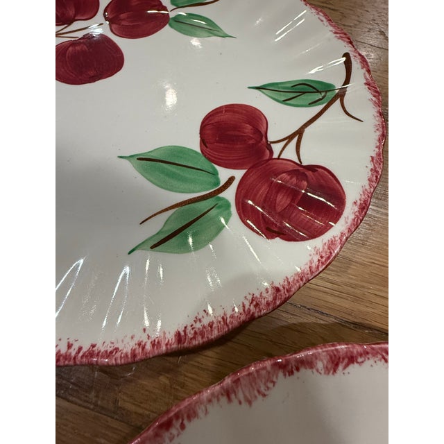 1950s Blue Ridge Apple Dinner Plates Set of 5 For Sale - Image 4 of 8