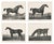 After Chalon, Equestrian Illustrations, Lithographs, 1840, Set of 4 For Sale - Image 12 of 12
