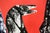 Ernst Bräuer, Three Horses Against Red, 1963, Monotype Paint For Sale - Image 9 of 12