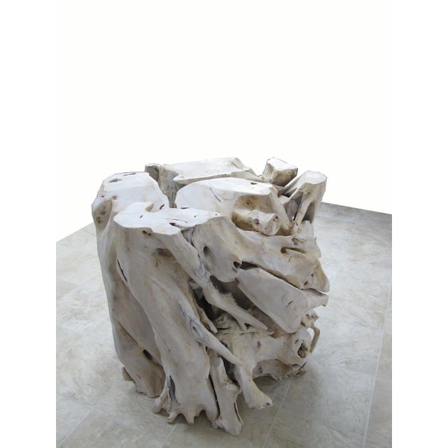 Contemporary Organic Modern Teak Root Sculpture For Sale In Greensboro - Image 6 of 10