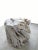 Contemporary Organic Modern Teak Root Sculpture For Sale In Greensboro - Image 6 of 10