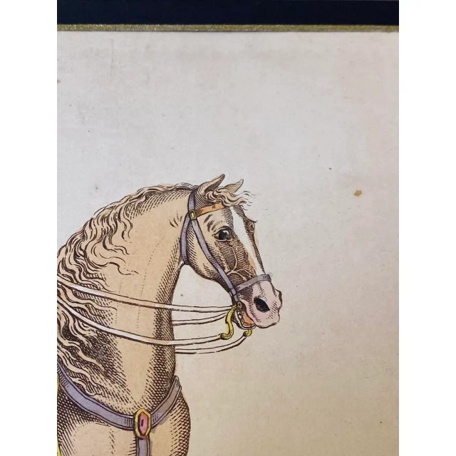 Cream Napoleonic Wars “Lieutenant General Lord Hill” Hand Colored Engraving C.1815 For Sale - Image 8 of 10