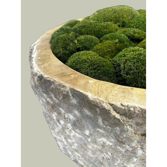 Raw Edge Onyx Planter Pot For Sale - Image 4 of 5