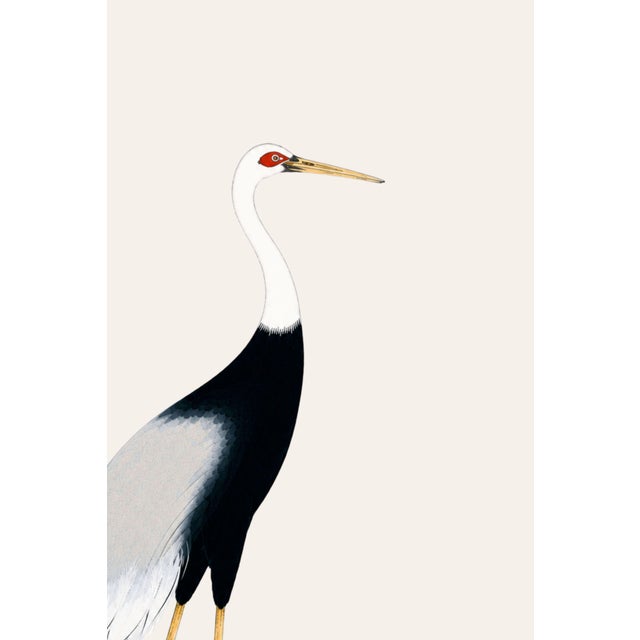 Japanese Crane Study 3, Neutral Coastal Print, 24" X 36" For Sale - Image 4 of 10