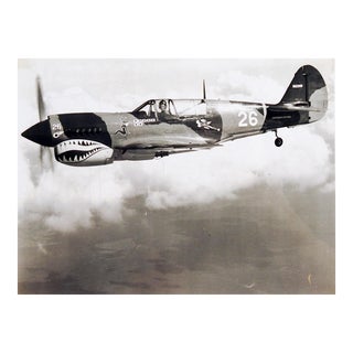 Restored P-40 Warhawk Airplane Photograph, Circa 1980's For Sale