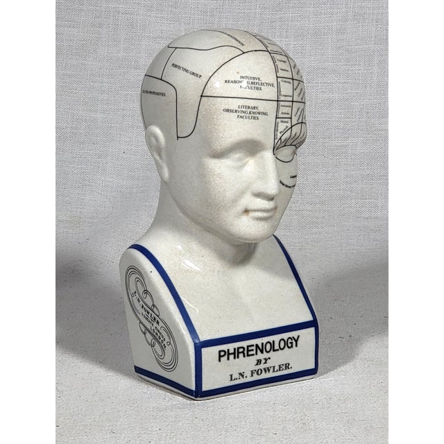 Vintage Style Porcelain Phrenology Head by l.n. Fowler / Ludgate Circus, London England For Sale In Baltimore - Image 6 of 7