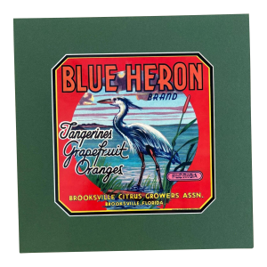 Original Vintage BLUE HERON Brooksville FL Citrus Crate Label, Matted - EUC