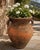 Mediterranean Vintage Mediterranean Terracotta Amphora Urn Planter With Aged Patina For Sale - Image 3 of 11
