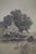 Black Antique Ernest C Rost Signed Four Seasons Panoramic Landscape Print 32" For Sale - Image 8 of 13