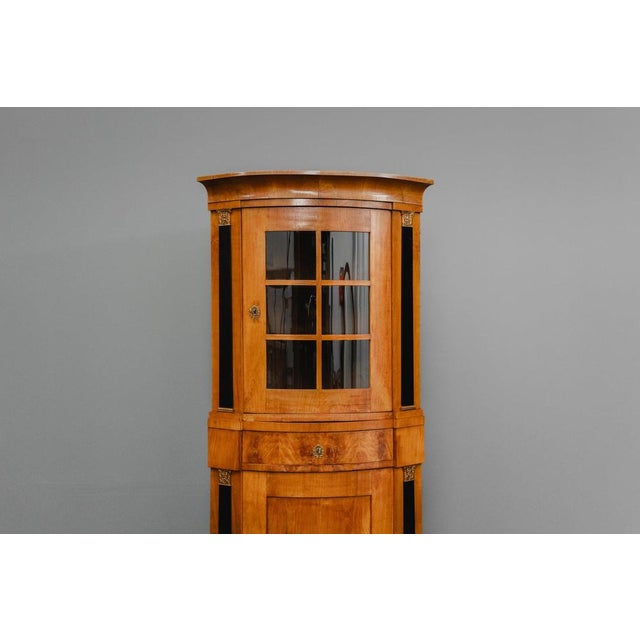 19th Century Biedermeier Corner Display Cabinet For Sale - Image 10 of 18