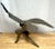1960s Vintage Patinated Bronze Sculpture 'American Bald Eagle Upon Landing' For Sale - Image 10 of 13