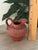 Brown 19th C Ottoman Terracotta Creamer Jug - Antique Tophane Redware Pitcher Ewer - Islamic Folk Pottery as Is For Sale - Image 8 of 8