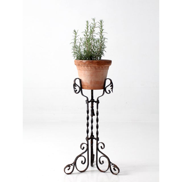 Antique Victorian wrought iron plant stand featuring twisted iron uprights, scrolling feet, and intricate foliate details....