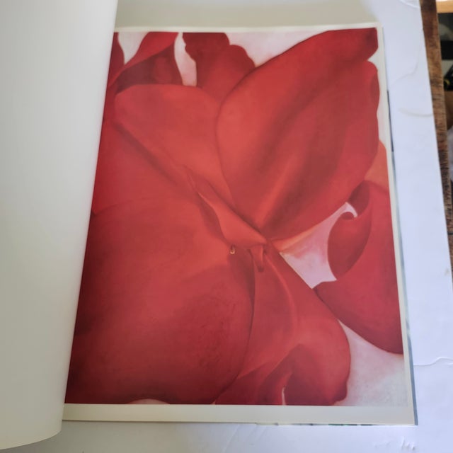1987 Georgia O'Keeffe : One Hundred Flowers. Knopf, 1st Edition Large Hardback For Sale - Image 13 of 13