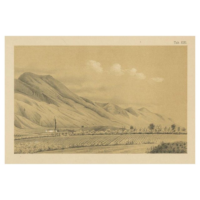 Antique Caracas in Venezuela Landscape of Monte Ávila, 1888 For Sale - Image 9 of 9