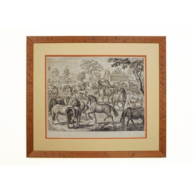 Antique Stud Farm Engraving - a Pair For Sale - Image 10 of 10