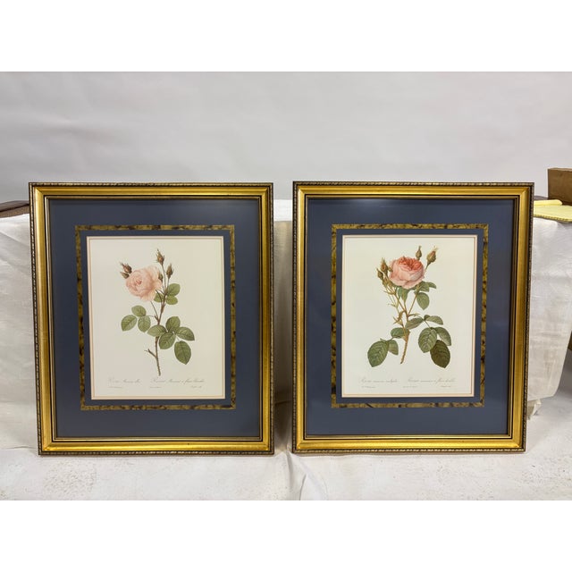 Traditional Set of Six Framed Redoutè Rose Botanical Prints For Sale - Image 3 of 7