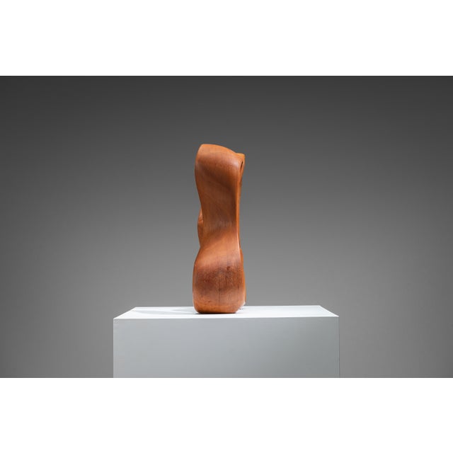 Unknown, Abstract Sculpture with Organic Flowing Curves, 1960s, Teak For Sale - Image 11 of 18