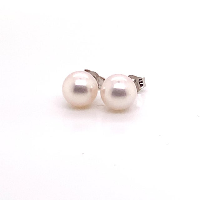 Akoya Pearl Earrings 14k White Gold Certified For Sale - Image 15 of 18