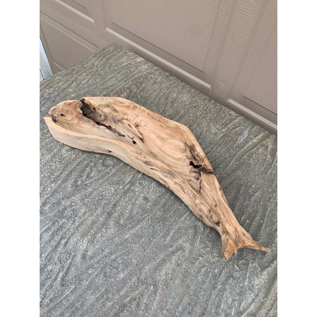 Vintage Folk Art Hand Carved Driftwood Whale Serving Tray For Sale In South Bend - Image 6 of 10