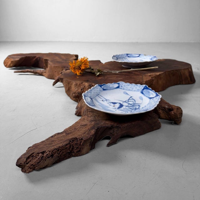 Wood Japanese Rootwood Display Slab, 1950s For Sale - Image 7 of 17