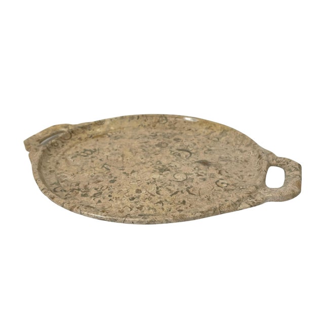 Vintage Fossilized Spiral Shell Stone Serving Cheese Dish | Chairish