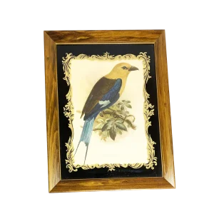 19th Century Antique John Gerald Keulemans Framed and Signed Hand-Colored Bluebellied Roller Bird Lithograph Print