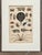 Illustration Horseshoe Crab, Shrimp and Crab Variety | Marine Life Arthropods | Original Lithograph by Fullarton, 1847 For Sale - Image 3 of 7