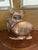 Vintage 1950s Indonesian Hand-Carved Teak Angelfish Sculpture – 19.5" For Sale - Image 12 of 12