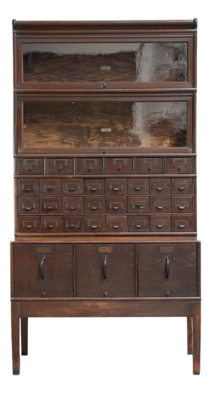 Pharmacy Display Cabinet from Globe Wernicke, 19th Century