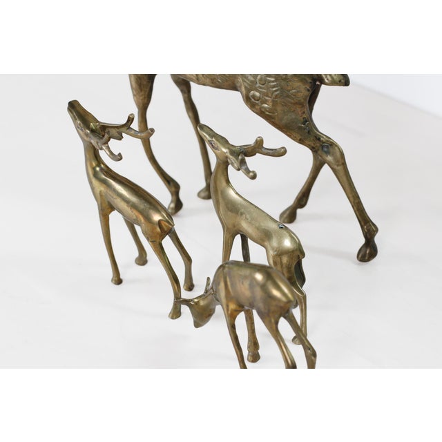 Mid-Century Brass Deer Family, Set of 4 | Large Stag and Fawns For Sale - Image 15 of 15